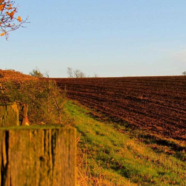 Rosną potrzeby inwestycyjne rolników. Zakup maszyn i urządzeń najczęściej finansują pożyczką